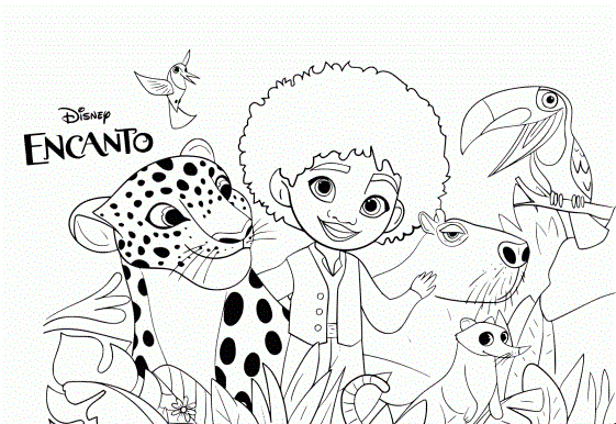 Antonio et ses amis animaux